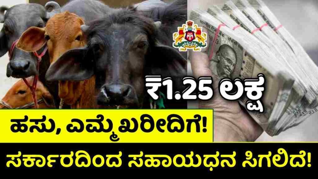 Cow Dairy Farming Scheme